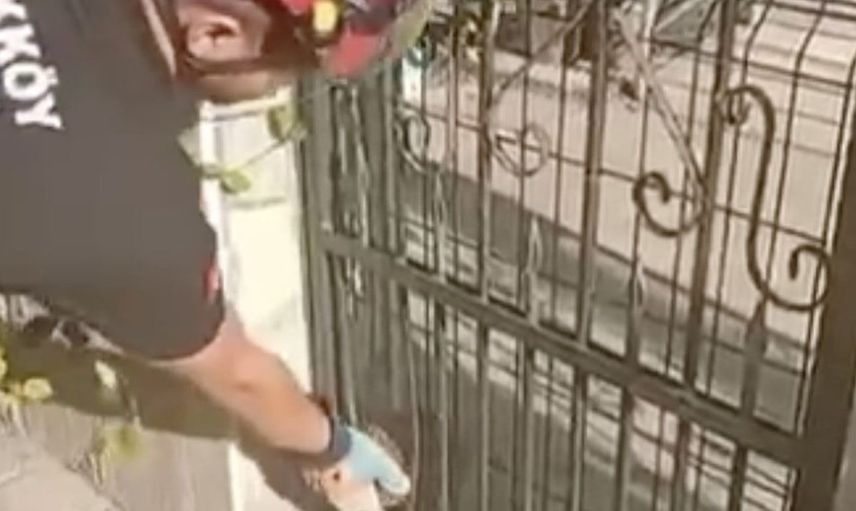 Yalova'da demir kapıya sıkışan kirpi itfaiye ekipleri tarafından kurtarıldı