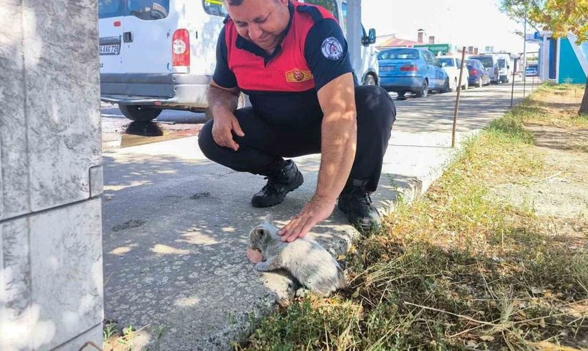 Erzincan'da motor kısmında mahsur kalan yavru kedi kurtarıldı