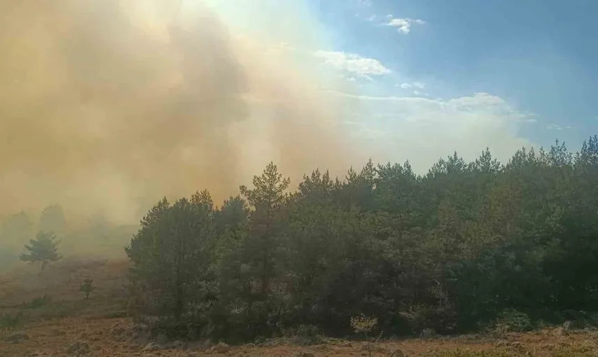 Bolu'daki anız yangını ormanlık alana sıçradı, söndürme çalışmaları devam ediyor