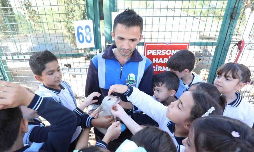 İnegöl'de hayvanları koruma günü etkinliği renkli görüntülerle kutlandı