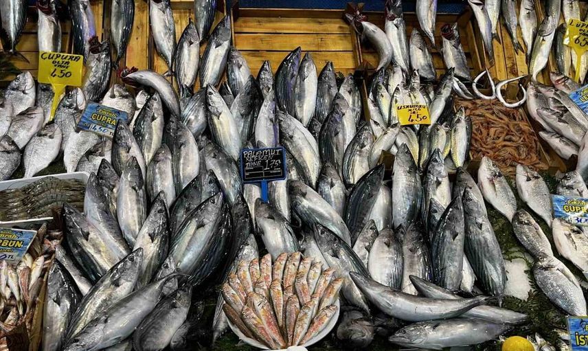 Kocaeli'de balık sezonu: Vatandaşları balık tüketmeye çağırdılar