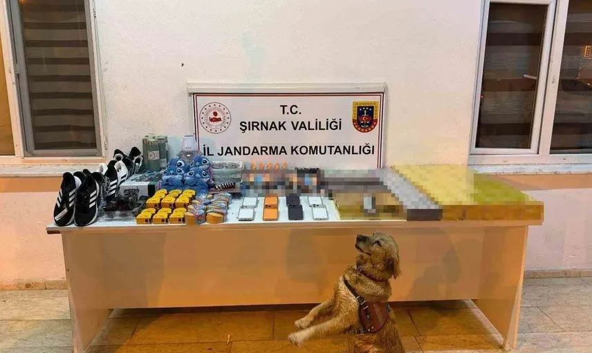 Şırnak'ta kaçakçılık operasyonunda 20 milyon liralık malzeme ele geçirildi