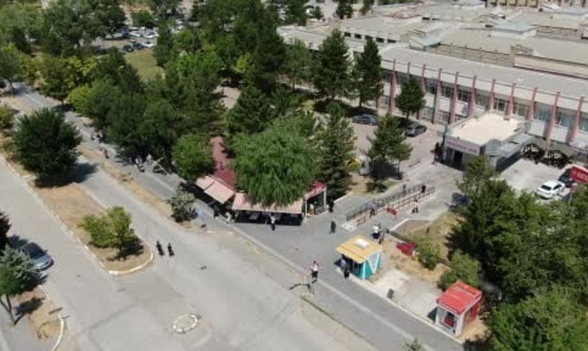 Sivas’taki kafede salkım söğüt ağaçları, müşteri çekiyor