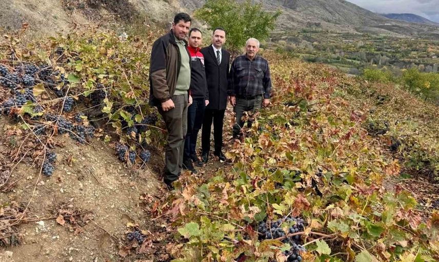 Kaymakam hökelekli, üzüm bağında tarımsal üretimi artırma hedefini vurguladı