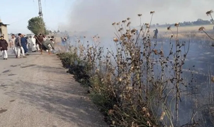 DEAŞ Irak Genelinde Tarım Arazilerini Ateşe Veriyor