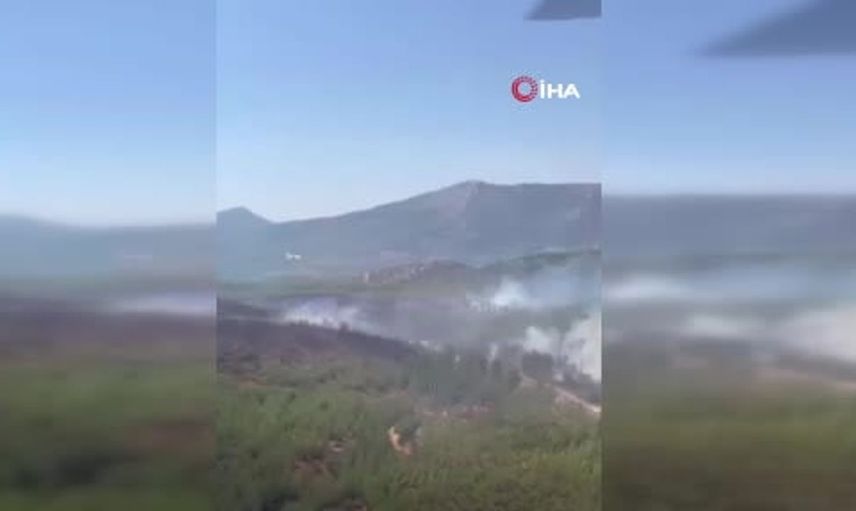 Tarım ve Orman Bakanlığı: orman yangınlarıyla mücadelemiz kesintisiz sürüyor