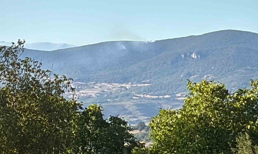 Tavşanlı'da yangın paniği: Hızlı müdahale ile kontrol altına alındı