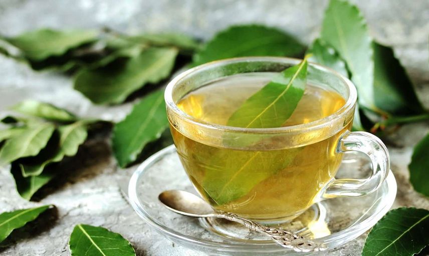 Defne Yaprağı çayı nasıl yapılır, hangi hastalıklara iyi gelir? Defne Yaprağı tütsüsü ne işe yarar, nasıl yakılır? Yunan mitolojisinde karşılıksız aşkın simgesi Defne Yaprağının faydaları