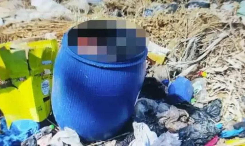 Dehşet Verici Cinayet: Emekli Profesör Babasını Fıçıya Koyup Çöpe Attı