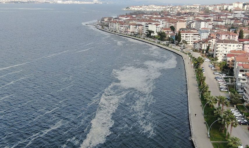 Deniz Salyası Krizini Fırsata Çevirecekler