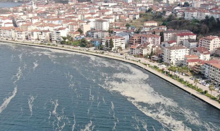 Deniz Salyasından Oluşan Tabaka İzmit Körfezi’ni Beyaza Bürüdü