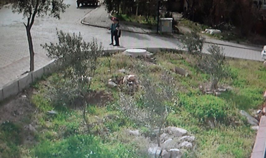 Denizli'de başıboş 5 köpek 9 yaşındaki küçük çocuğu hedef aldı: Ölü taklidi yaparak kurtuldu!