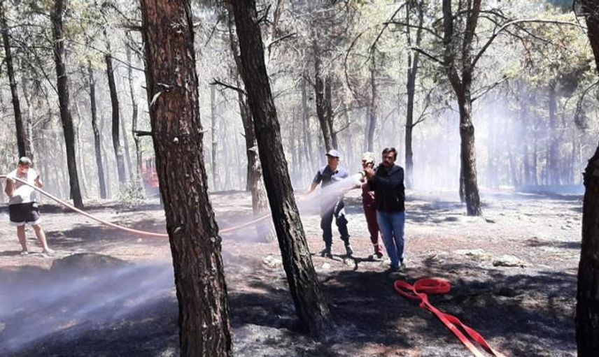 Denizli’de Çıkan Orman Paniğe Neden Oldu