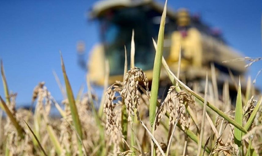 Depremzede çiftçiler için harekete geçiliyor: Bölgede hasat ve ekim desteği verilecek