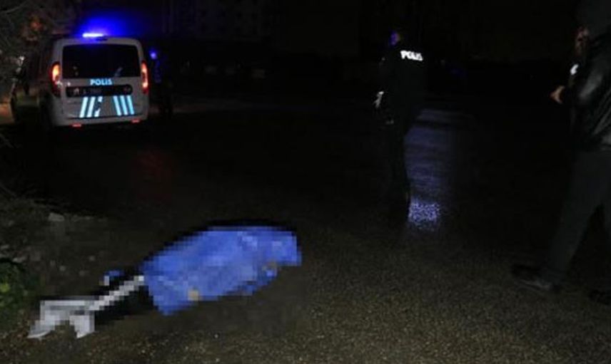 Devriye Gezen Polis Yol Kenarında Cansız Beden Buldu