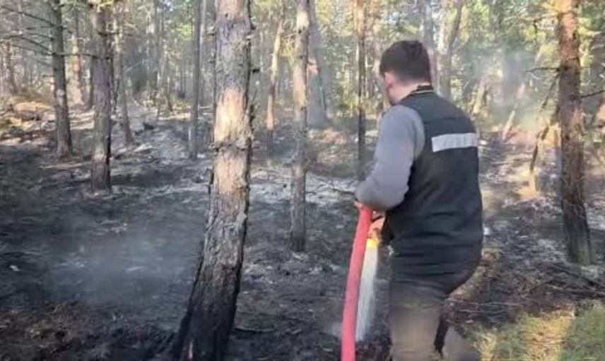 Eflani'deki örtü yangını hızla kontrol altına alındı