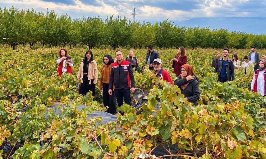 Üniversite öğrencileri bağ bozumu etkinliğinde çiftçilere destek verdi