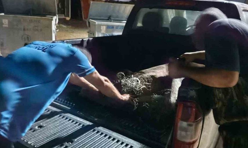 Didim'de kaçak avcılıkla mücadele kapsamında sahipsiz balık ağlarına el konuldu