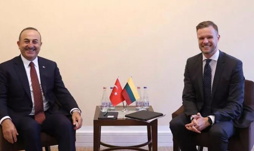 Dışişleri Bakanı Çavuşoğlu: Litvanya Türkiye'den Mülteciler Konusunda Yardım Alacak