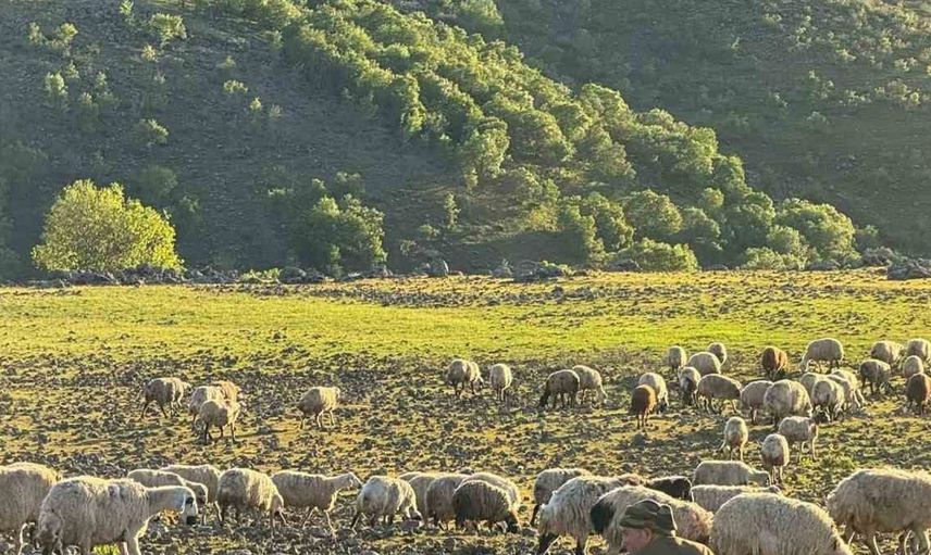 Diyarbakır'da Göçerlerin Zorlu Yolculuğu Başladı