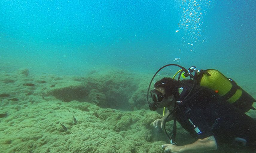 Doğu Akdeniz Su Altı Zenginliğiyle Dikkat Çekiyor