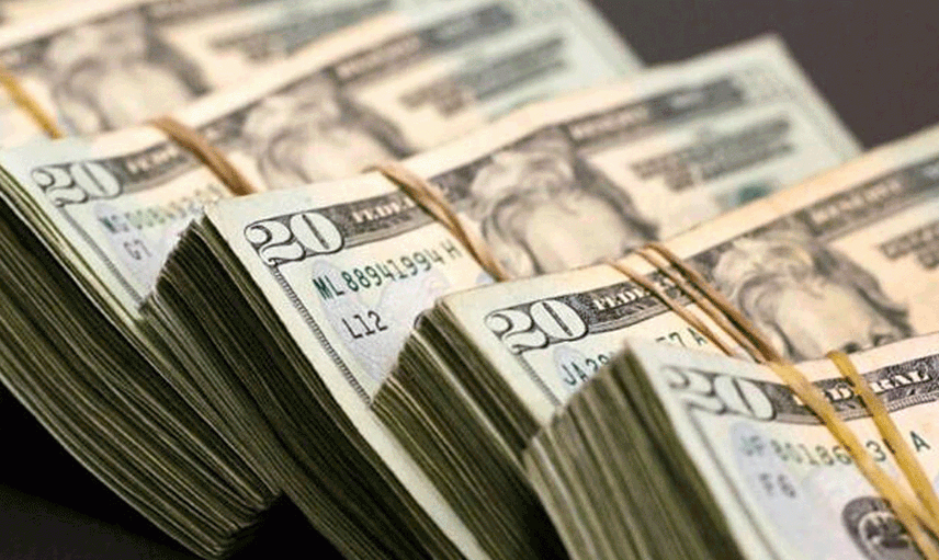 Dolar Tarihi Zirvede 8.89!