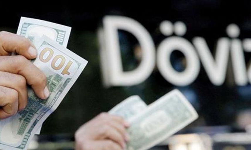 Dövize Endeksli TL Mevduat Sistemine Dair Merak Edilenler