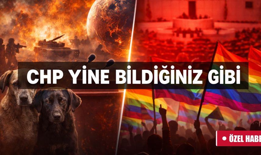 Dünya alarm verirken CHP’ninı gündemi: Hayvanlar ve LGBT