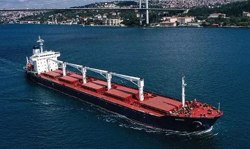 Dünya basını Başkan Erdoğan’ı konuşuyor: Tahıl koridoru için ülkelerden destek geliyor