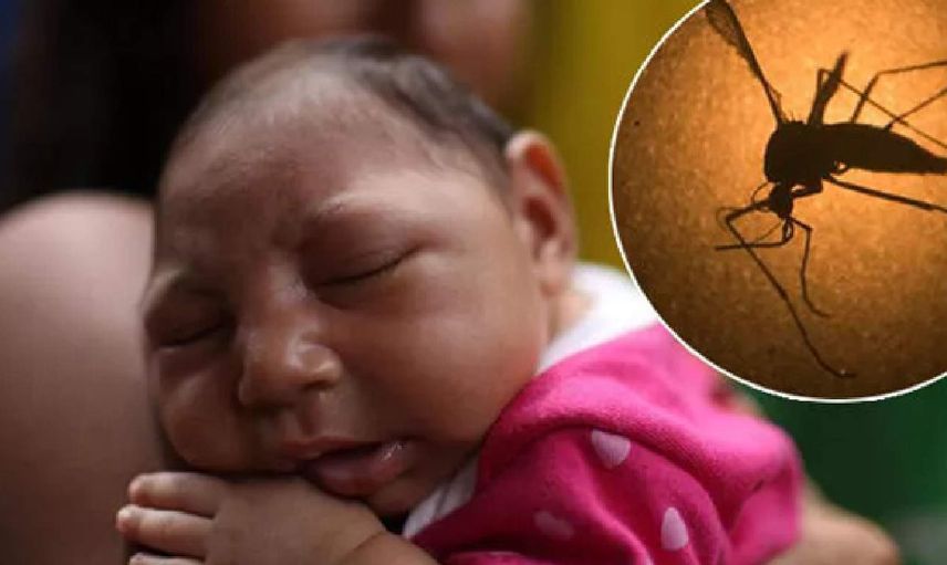 Zika virüsü bulaşıcı mı? Zika virüsü hangi ülkelerde görüldü, belirtileri neler? Dünya gündemi yeni tehlike Zika virüsünü konuşuyor!