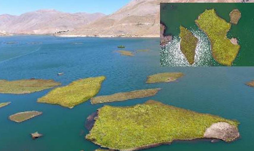 Dünyada Sadece Türkiye'de Var: Yüzen Adaların Atmosferi Koruduğu Ortaya Çıktı