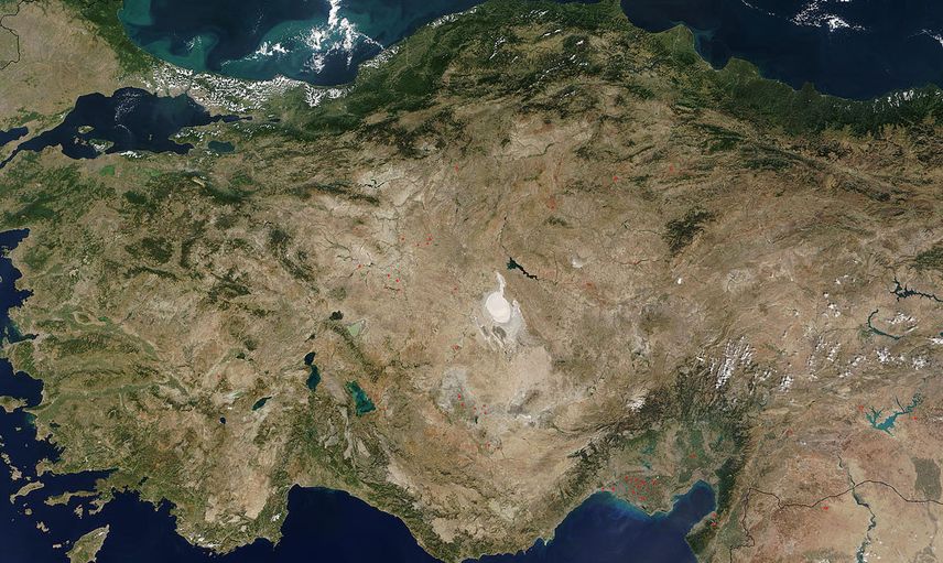 Dünyayı saran gıda krizine Türkiye formülü!