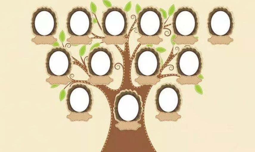 e-Devlet Soy Ağacı Nasıl Sorgulanır?