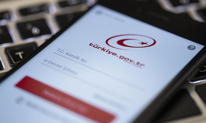 e-Devlet'e yabancı talip çıktı