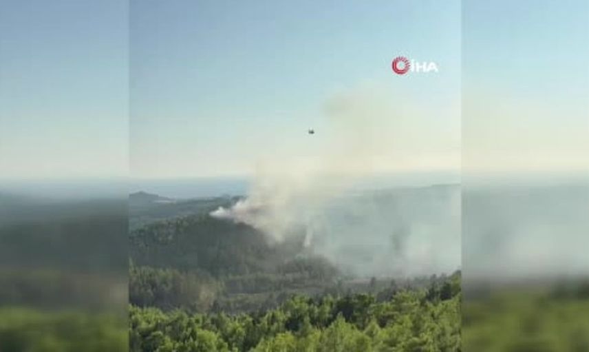 Manavgat orman yangınında ekipler hızlı müdahale ile başarılı oldu