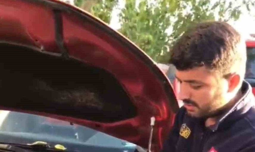 Diyarbakır'da itfaiye ekipleri kedi kurtarma operasyonu gerçekleştirdi