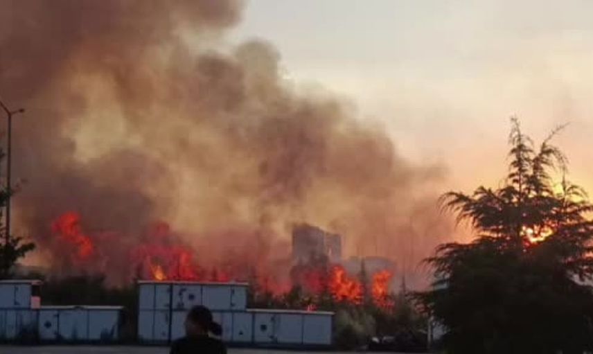 Ankara'nın Etimesgut ilçesinde ağaçlık alanda yangın paniği
