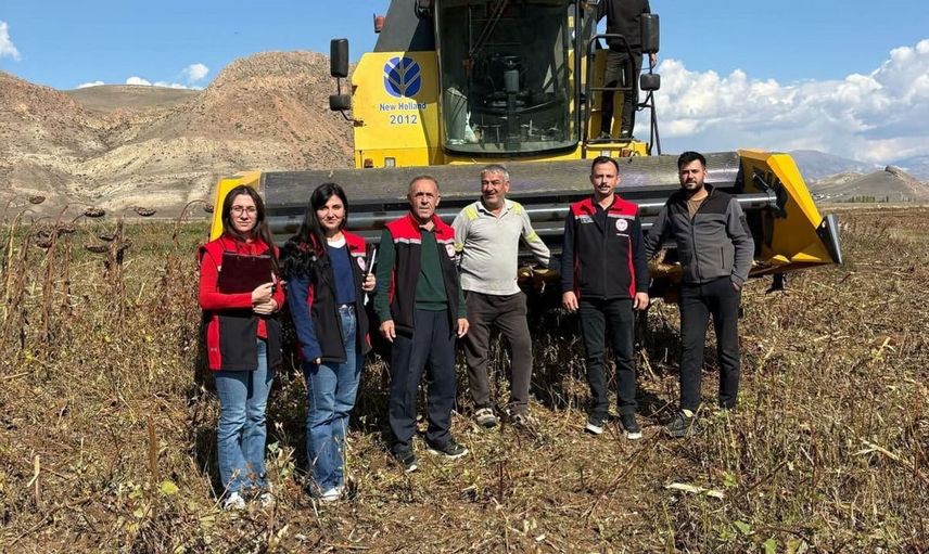 Erzincan’da ayçiçeği hasadında ürün kaybını önlemek için denetimler sürüyor