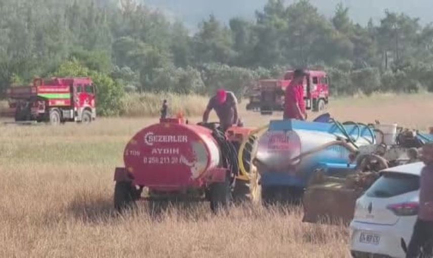 Menteşe'de tarım arazisinde başlayan yangın ormana sıçradı
