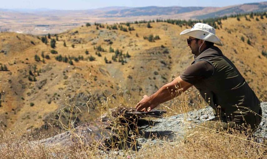 Kara akbaba izleme projesiyle doğanın sırları keşfedilecek