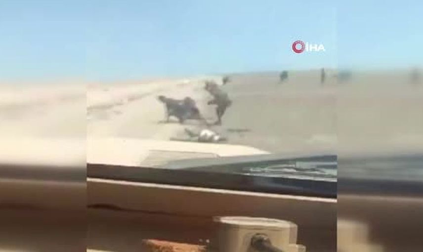 Yemen'de çatışmalar şiddetleniyor: Husi güçlerin teslim alınışı gündemde