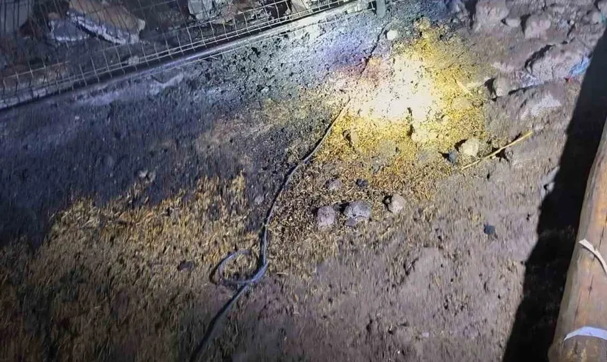 Batman'da bir ahırda yangın: 80 küçükbaş hayvan telef oldu