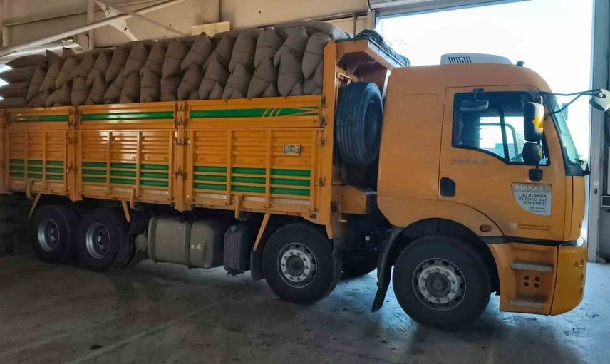 İnebolu'da fındık üreticilerine sağlanan destek: 100 ton fındık alımı gerçekleşti