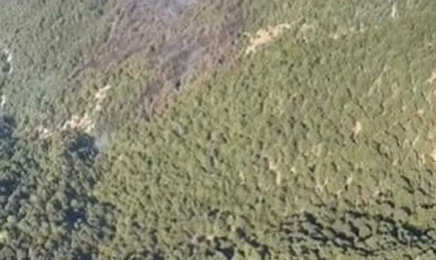 Antalya'daki orman yangını hızla kontrol altına alındı