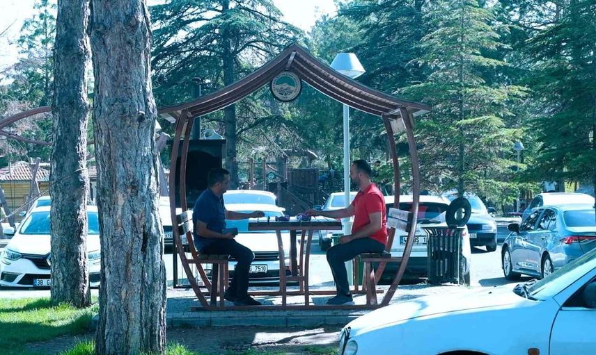 Kayseri'de çevre bilincini artıran sosyal deney: duyarlı vatandaşlara gül hediye edildi
