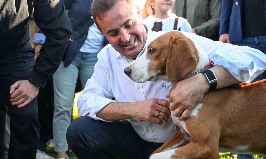 Balıkesir'de can dostlar için umut dolu bir gün