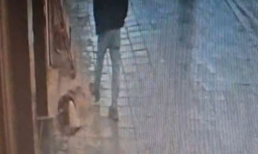 Kaldırımda uyuyan köpeği tekmeleyen adam, ısırılmaktan kaçamadı