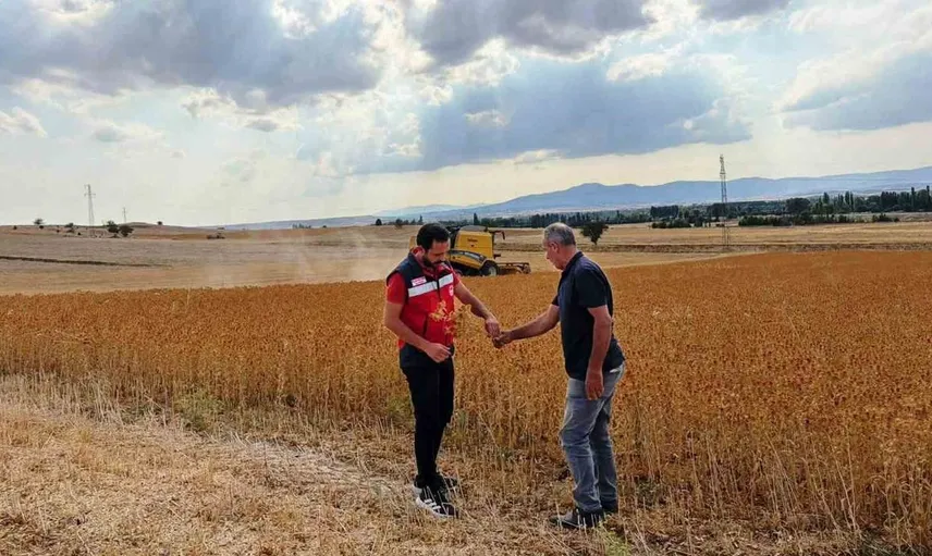 Çavdarhisar'da aspir hasadı başarıyla tamamlandı