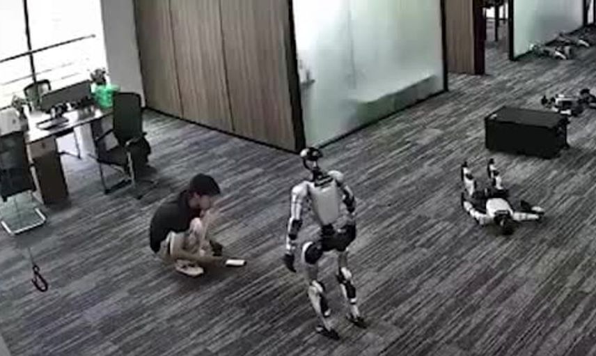 İnsansı robot sahnede sorun çıkardı: Geliştiricisine ani tekme attı