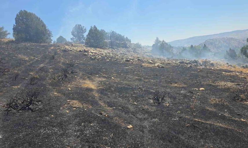 Gölbaşı'nda örtü yangını paniğe neden oldu